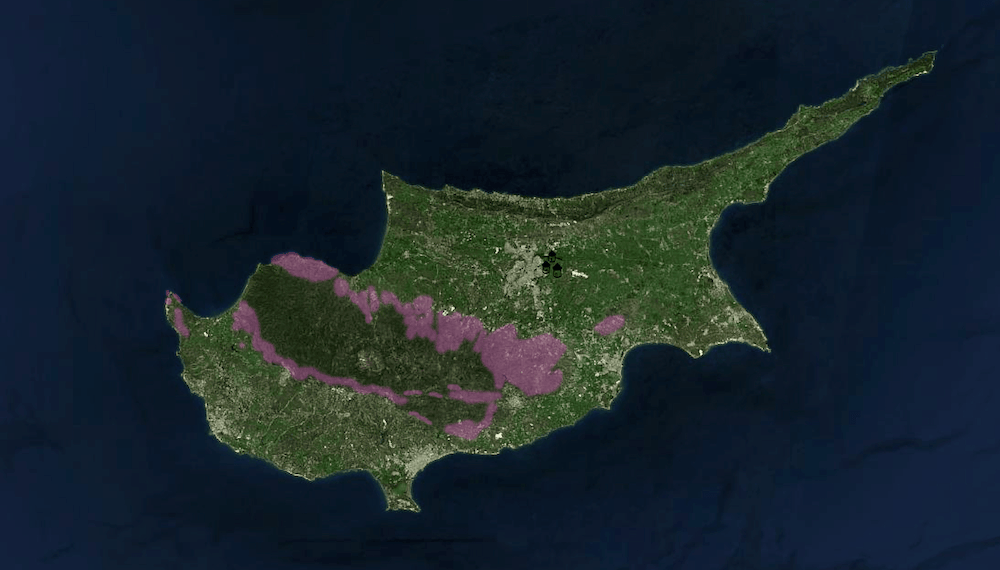 Kourion Museum Cyprus Collection