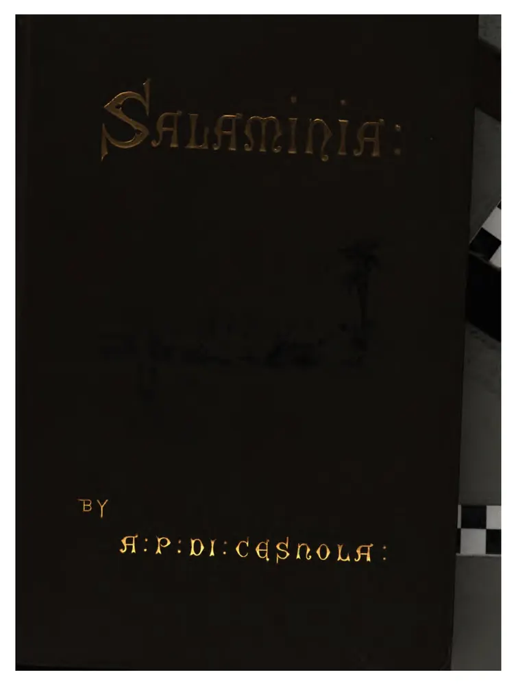 Salaminia (Cyprus), scan 2