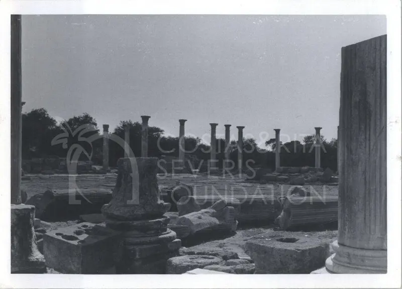 Fluted columns and fallen stone blocks in a ruined colonnade at Salamis, with trees behind