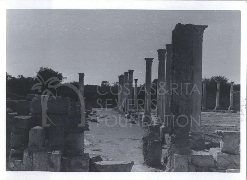 Rows of standing columns line a dirt-and-paving lane among stone blocks at Salamis