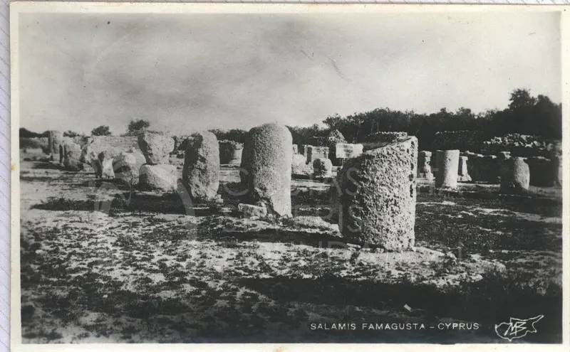 Rows of stone column drums and bases standing in open grass at the ruins of Salamis