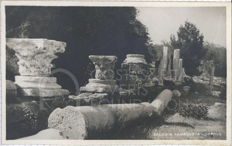 Carved capitals and fallen column drums among ruins at Salamis, with trees behind