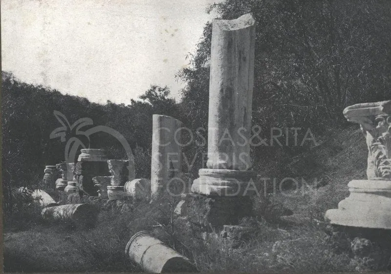 Broken marble columns and capitals among bushes and trees in a wooded site