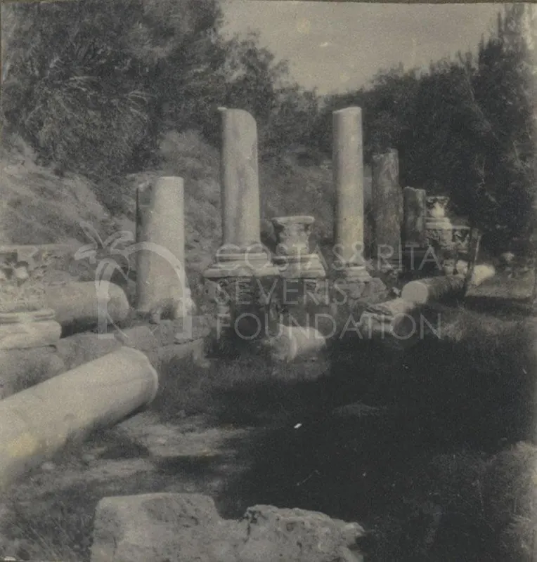 Broken marble columns and column bases among trees and grass at Salamis ruins