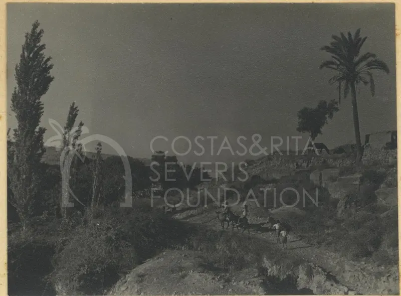 Riders on animals on a dirt track between scrubland, a palm tree and tall cypresses