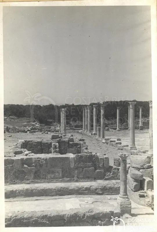 Rows of standing columns across the ruins of Salamis, with a stone wall and steps in the foreground
