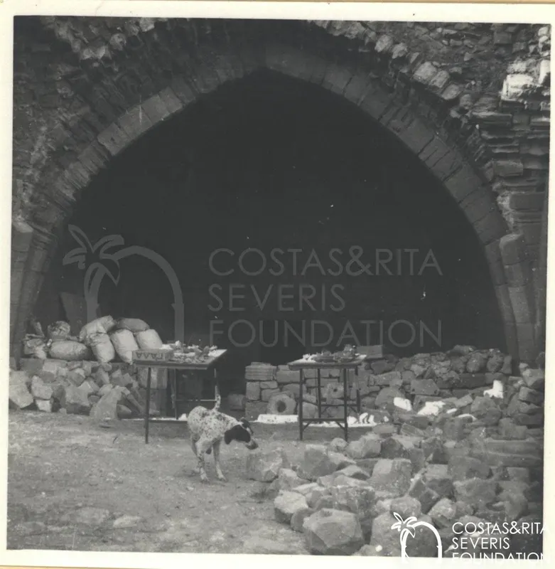 Pointed stone arch over a dark opening, with two tables of finds, sacks and rubble, and a spotted dog in front.