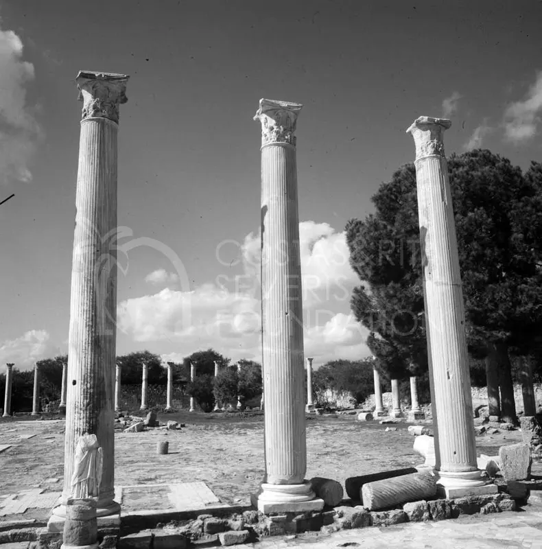 Three tall fluted columns with carved capitals rise across an open paved court at Salamis, with trees behind.