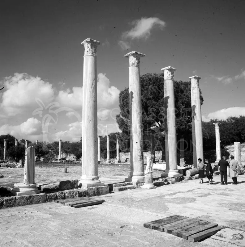 Tall fluted columns with carved capitals on a paved court at Salamis, with four visitors standing to the right