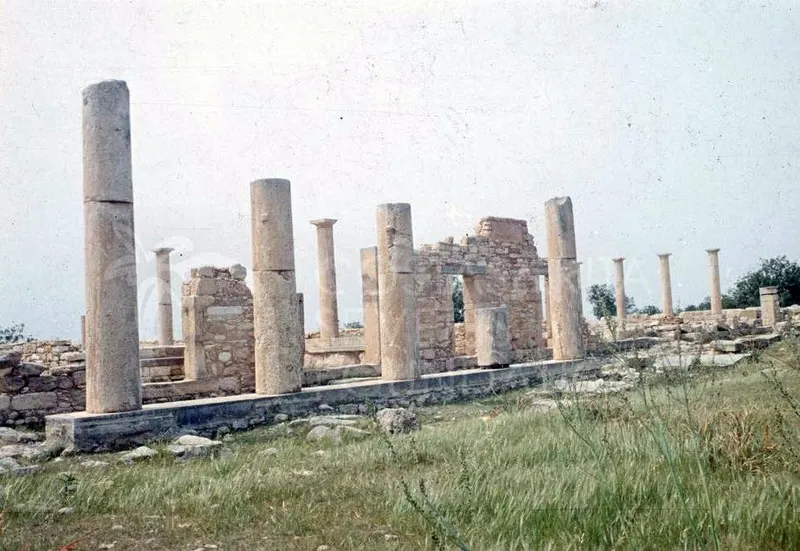 Standing columns and low ruined walls of the Sanctuary of Apollo Hylates at Kourion under a pale sky