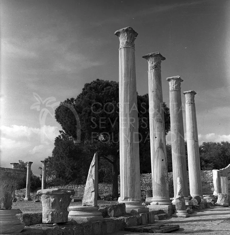 Tall fluted columns with carved capitals stand in a ruined colonnade at Salamis, with a pine tree behind
