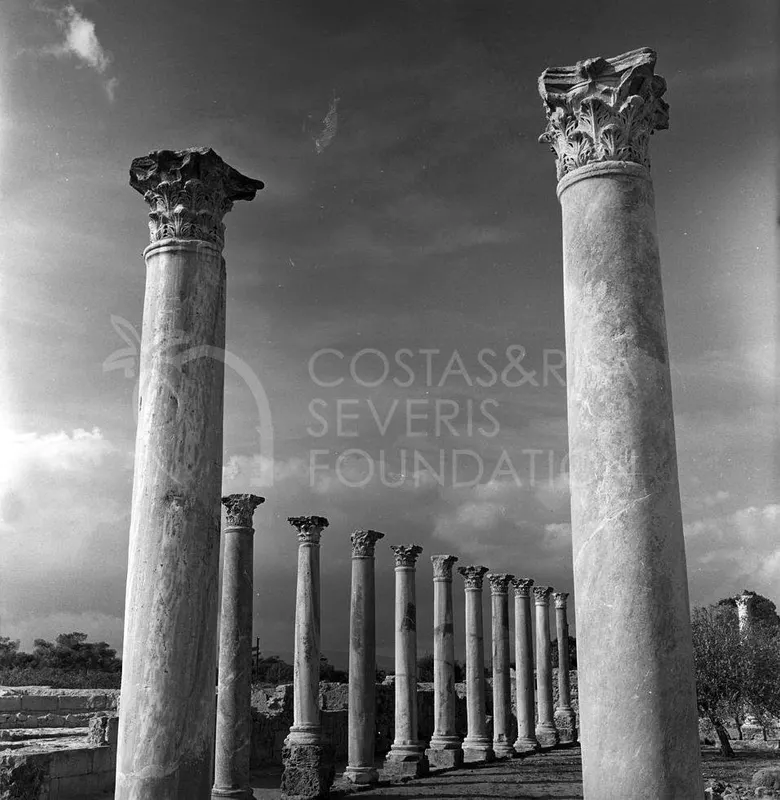 Tall ornate columns in a receding row across the Salamis ruins, with low walls and trees behind them under cloudy sky.