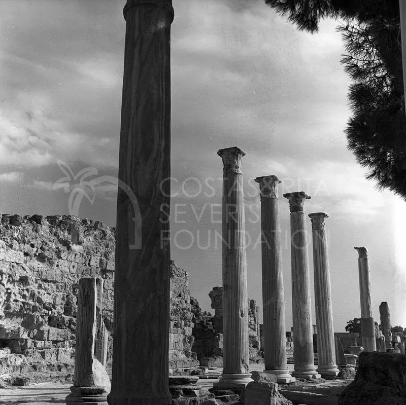 Row of tall fluted columns with ruined stone walls behind them at Salamis
