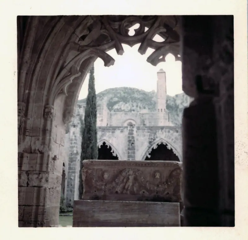Carved stone sarcophagus in a ruined abbey cloister, framed by a Gothic arch with tracery, with a cypress and hills behind
