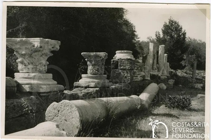 Carved column capitals and a fallen column drum among trees at Salamis