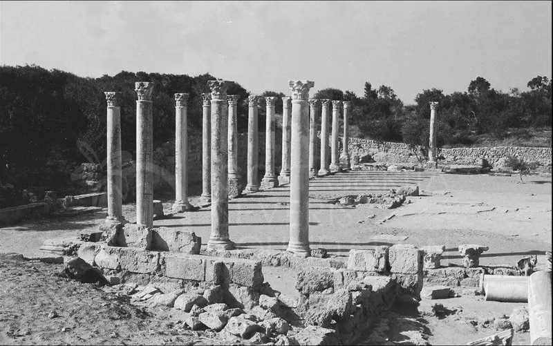 Rows of tall columns with Corinthian capitals stand in an open court among low ruined walls and scattered stones.