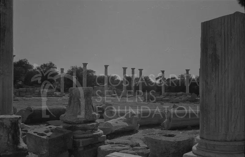 Rows of standing and fallen columns among stone blocks on an open site, with trees beyond