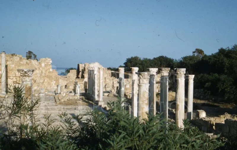 Rows of standing columns among ruined stone walls, with shrubs in the foreground and trees behind