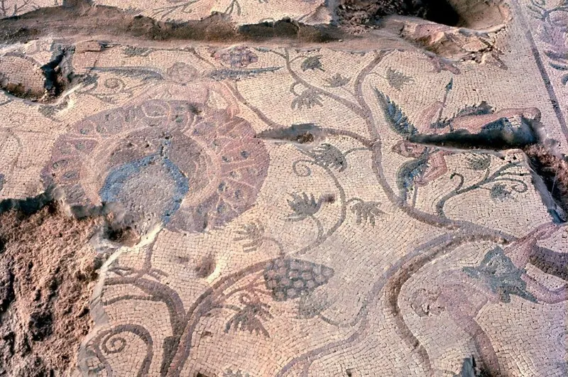 Close view of a mosaic floor with scrolling vine tendrils, grape clusters and a large roundel
