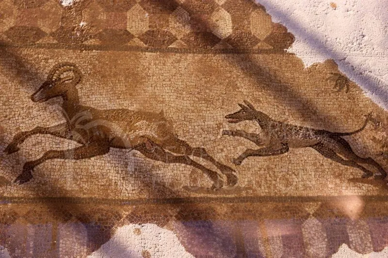 Floor mosaic of a leaping horned animal chased by a smaller dog-like animal