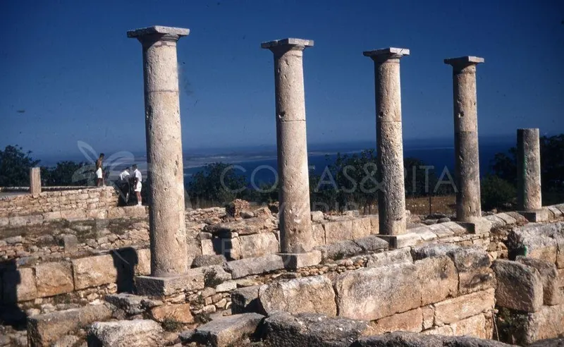 Tall stone columns stand above low walls, with trees and the sea beyond at Kourion