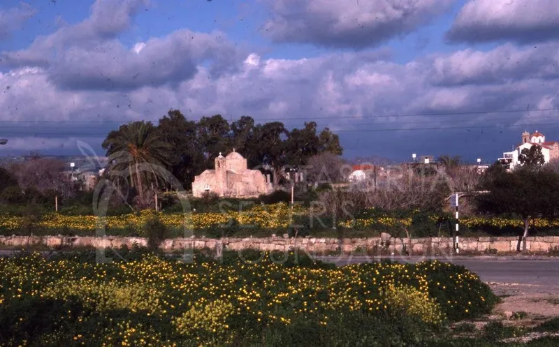 Small stone church among trees behind a field of yellow flowers and a low stone wall, under a cloudy sky.