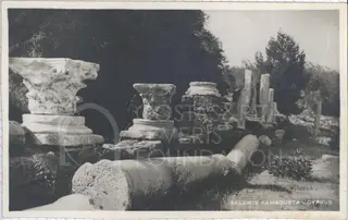 Capitals and columns at Salamis
