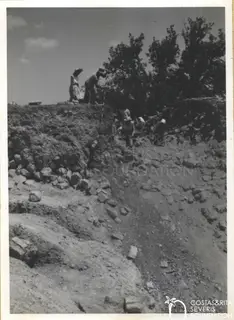 Excavators working in a deep trench of stony soil, with a ranging pole and people standing at the upper edge under trees