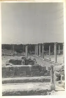 Rows of standing columns across the ruins of Salamis, with a stone wall and steps in the foreground