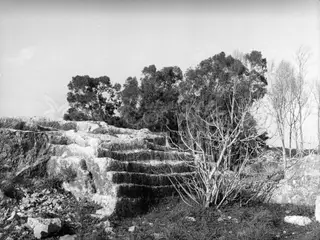 Rock-cut steps rising across a pale limestone outcrop, with trees behind and a bare shrub in front