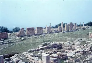 Ruined stone walls and standing column shafts on a grassy slope, with trees and hazy sky behind