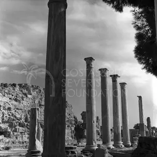 Row of tall fluted columns with ruined stone walls behind them at Salamis