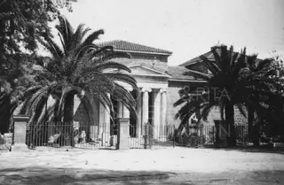 Columned stone building with a pediment and tiled roof behind iron railings, framed by palm trees.