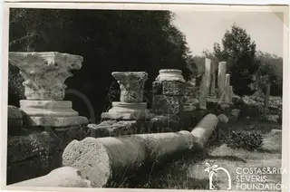 Carved column capitals and a fallen column drum among trees at Salamis