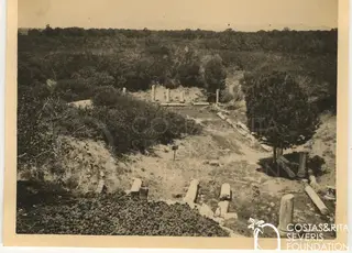 Overview of the Salamis site with fallen column drums in the foreground and standing columns in the distance