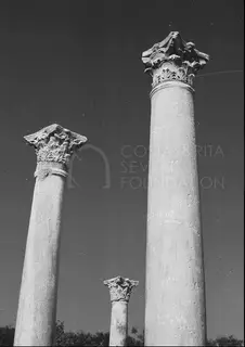 Three tall columns with ornate Corinthian capitals rising against a dark sky