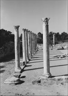 Row of tall Corinthian columns receding across an open dusty court at Salamis