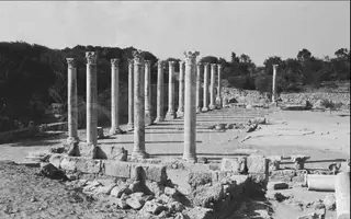 Rows of tall columns with Corinthian capitals stand in an open court among low ruined walls and scattered stones.