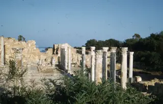 Rows of standing columns among ruined stone walls, with shrubs in the foreground and trees behind