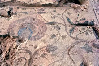 Close view of a mosaic floor with scrolling vine tendrils, grape clusters and a large roundel