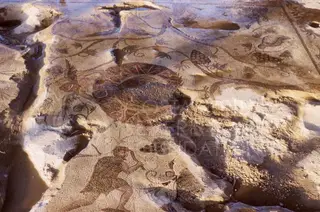 Mosaic floor with vine scrolls, grape clusters and a central medallion, partly covered with sand
