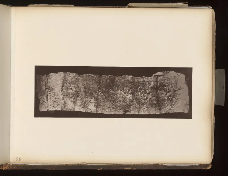 Long, narrow, pitted fragment with rows of incised marks, mounted on an album page