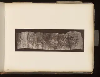 Long, narrow, pitted fragment with rows of incised marks, mounted on an album page