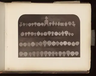Four rows of small clay oil lamps with round discs and nozzles, laid out on a dark board.