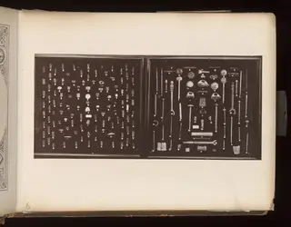 Small objects, pins and rings in two display trays