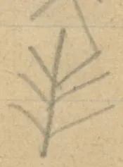 Vertical line with angled side branches