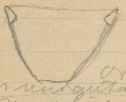 Profile of a bowl with inward-projecting rim ledges