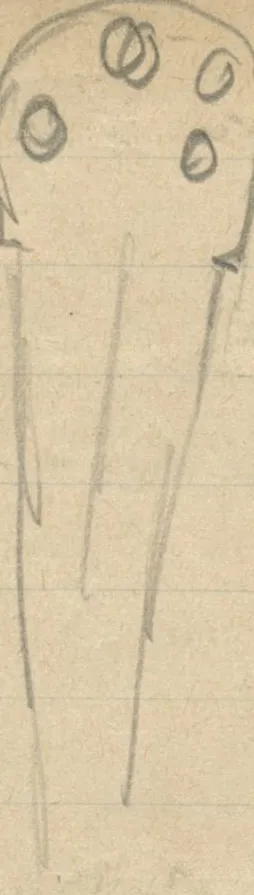 Elongated blade-like object with a rounded top end containing five small circles