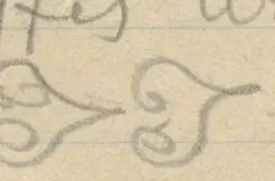Two curved spiral/mussel motifs