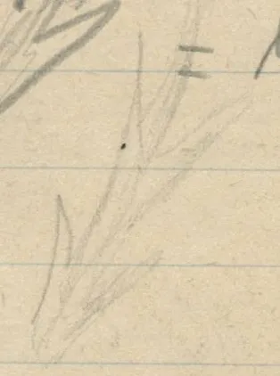 Faint leaf/branch motif